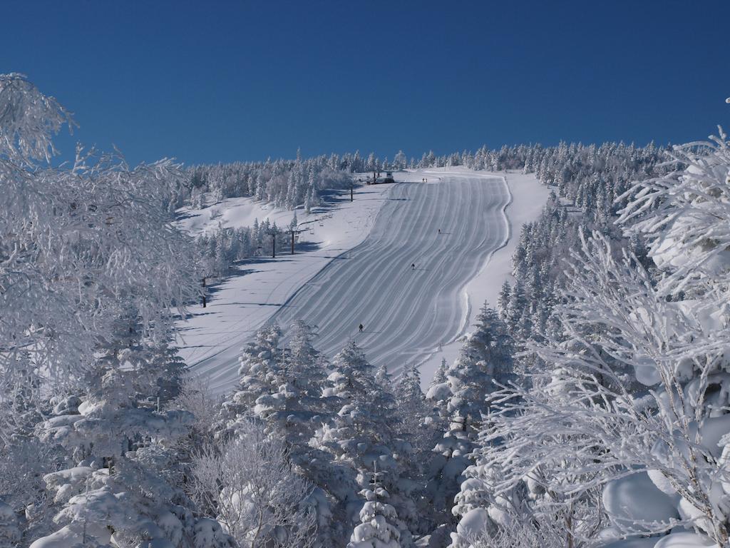 Okushiga Kogen Hotel Yamanouchi  Buitenkant foto