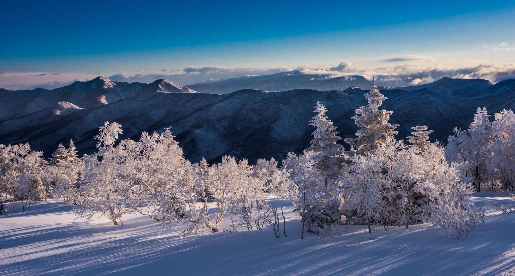 Okushiga Kogen Hotel Yamanouchi  Buitenkant foto