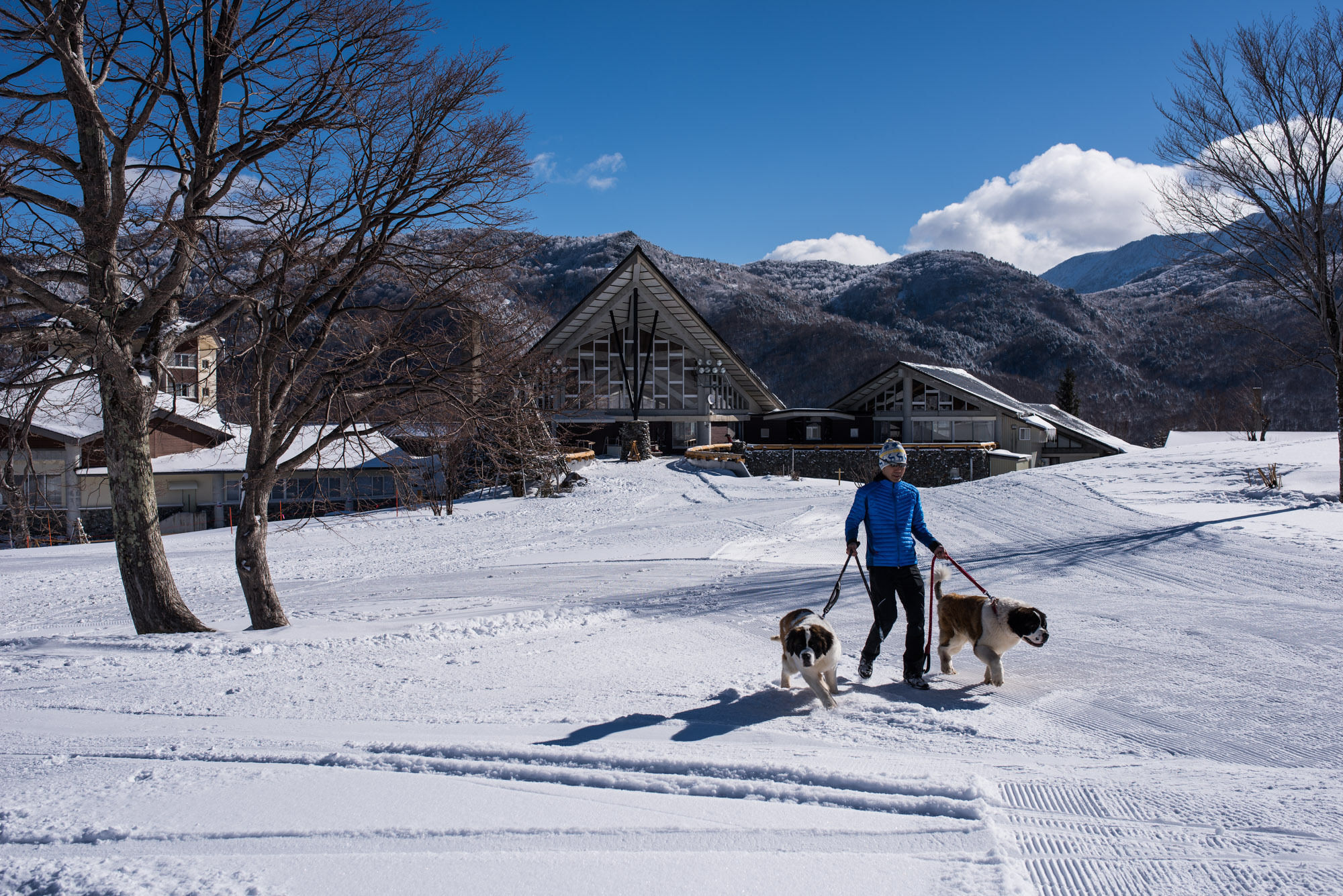 Okushiga Kogen Hotel Yamanouchi  Buitenkant foto